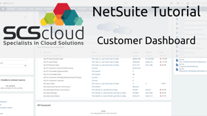 NetSuite Tutorial - Customer Dashboard